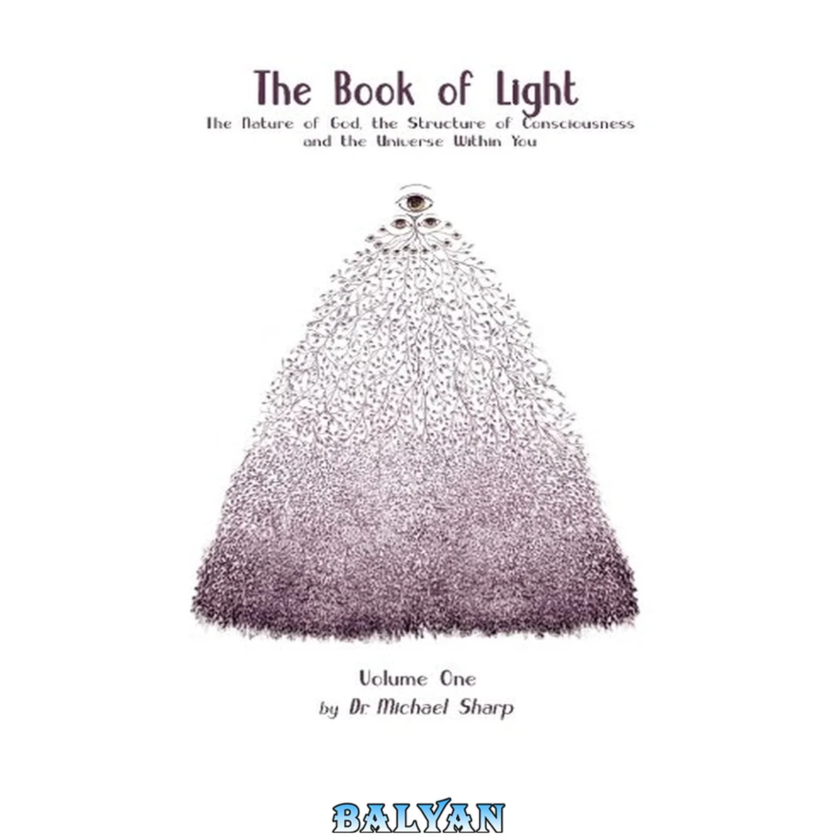 جلد کتاب The book of light : the nature of God, the structure of consciousness, and the universe within you
