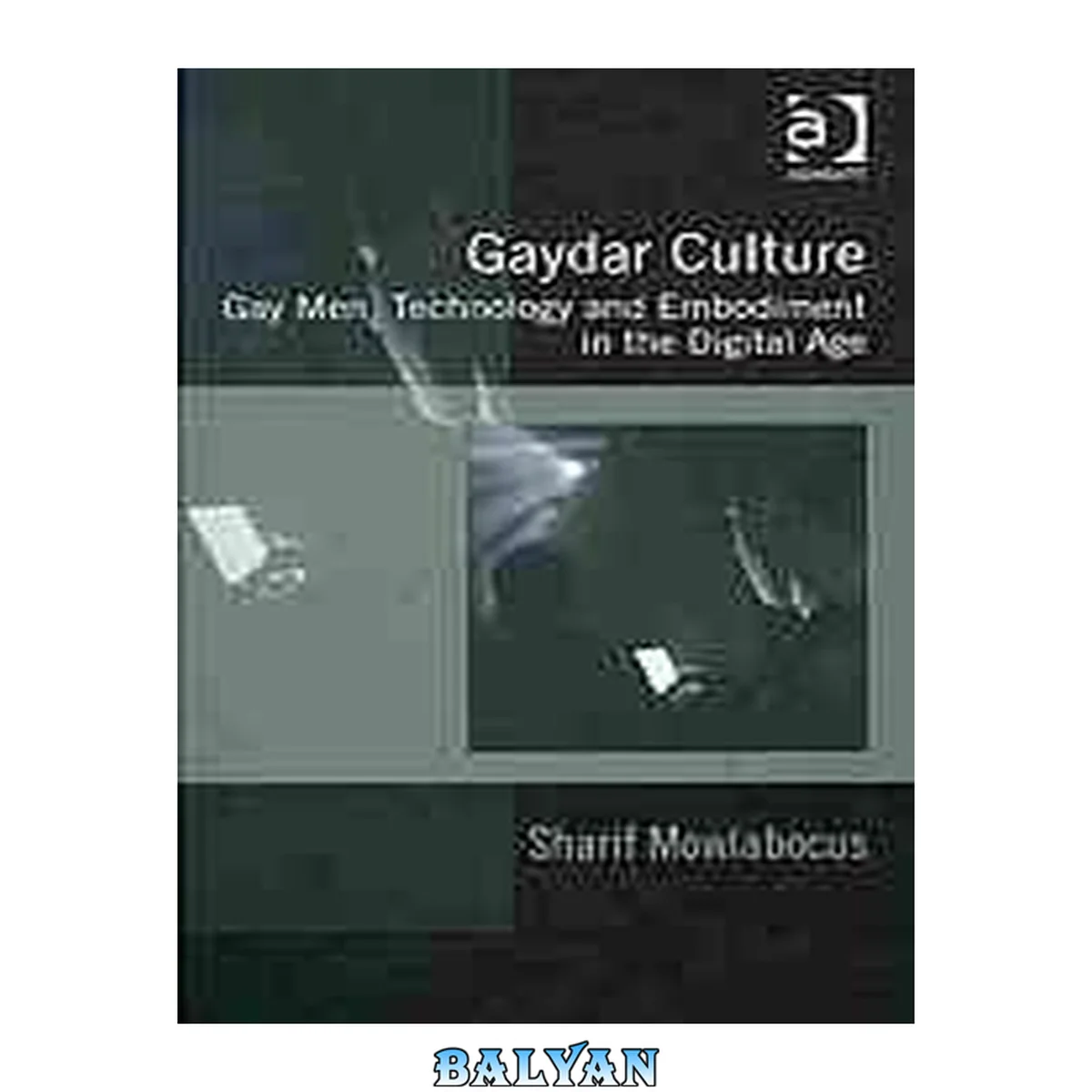 جلد کتاب Gaydar culture : gay men, technology and embodiment in the Digital Age