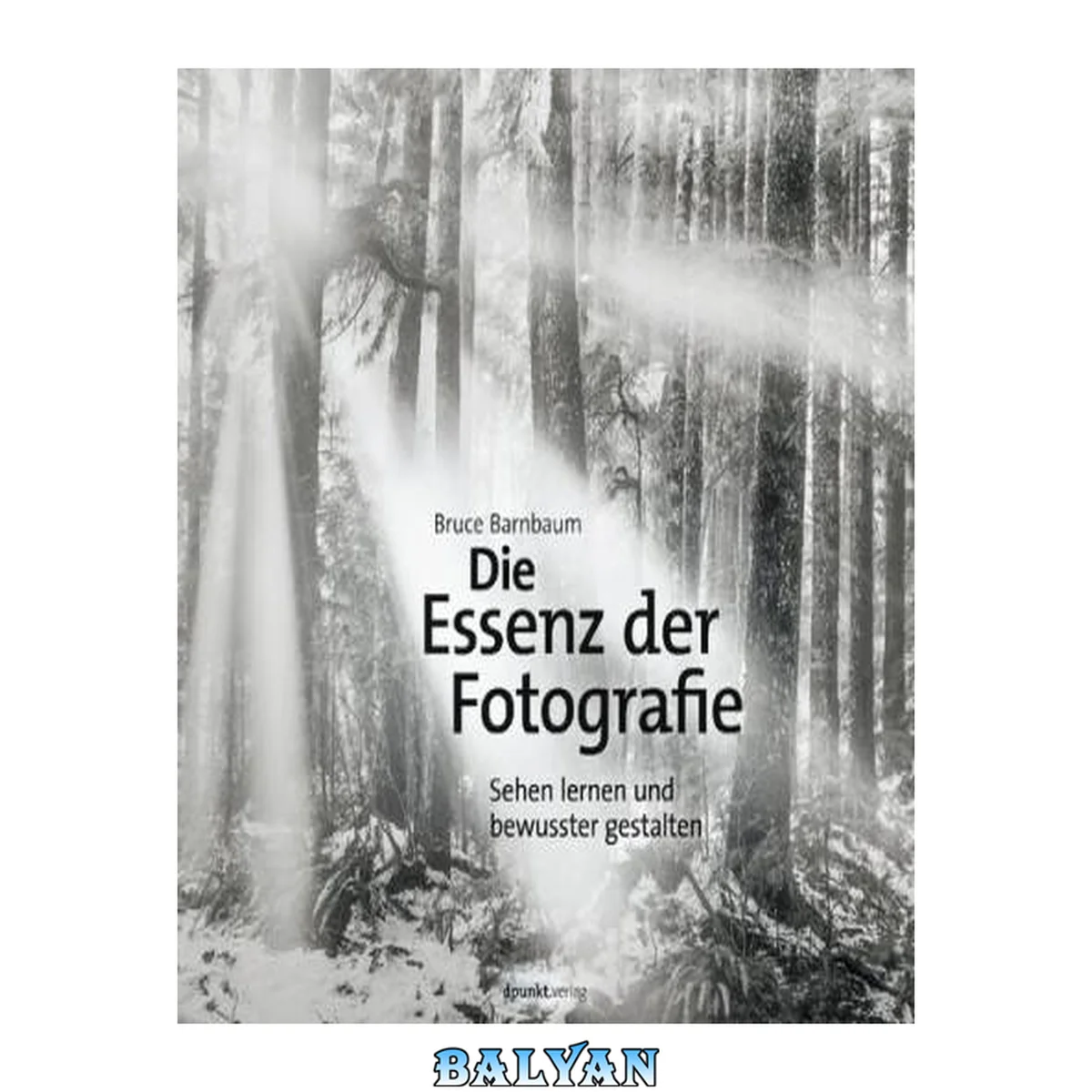 جلد کتاب Die Essenz der Fotografie : Sehen lernen und bewusster gestalten