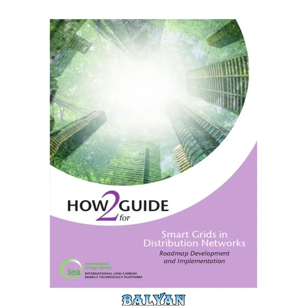Technology Roadmap How2Guide for Smart Grids in Distribution Networks : Roadmap Development and Implementation