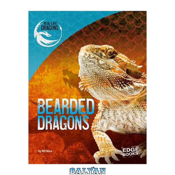 Bearded Dragons (Real-Life Dragons)