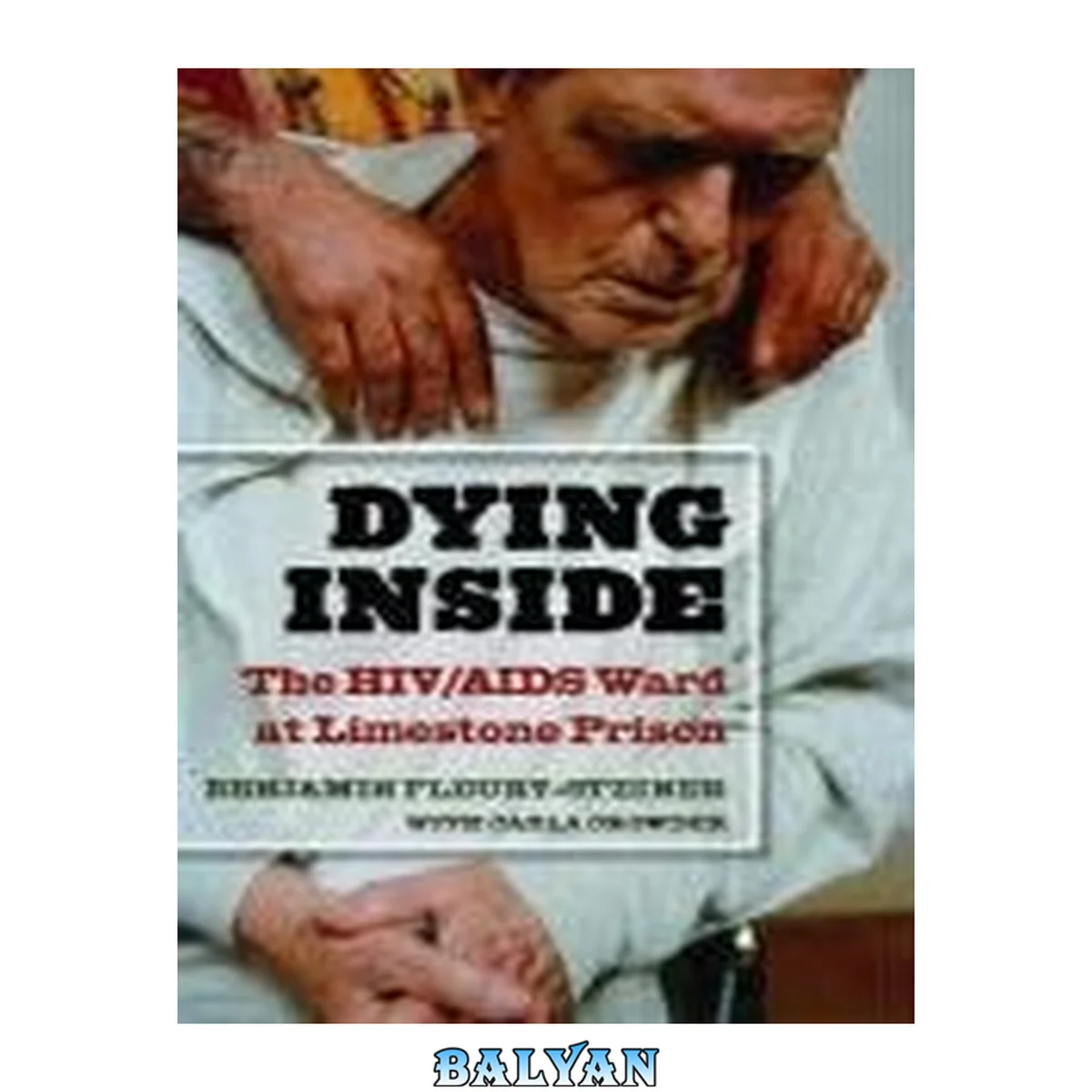 جلد کتاب Dying Inside: The HIV AIDS Ward at Limestone Prison (Law, Meaning, and Violence)