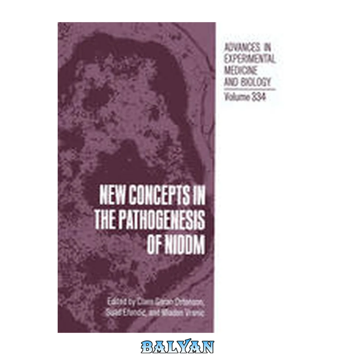 جلد کتاب New Concepts in the Pathogenesis of NIDDM (Advances in Experimental Medicine and Biology, 334)